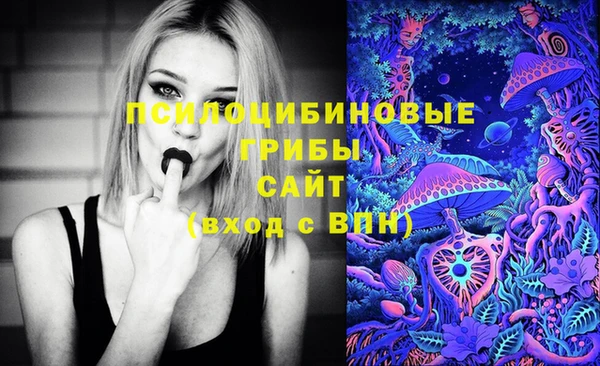 spice Алексин