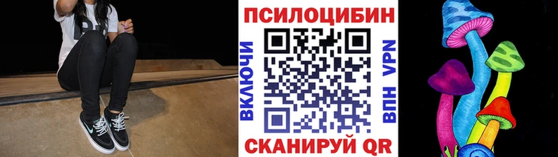 купить наркоту  Оленегорск  Псилоцибиновые грибы Magic Shrooms 